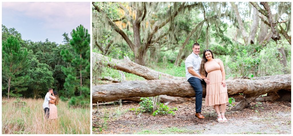 Picture on left is of newly engaged couple in high meadow lush grass. Picture on right of couple sitting on a huge fallen tree.