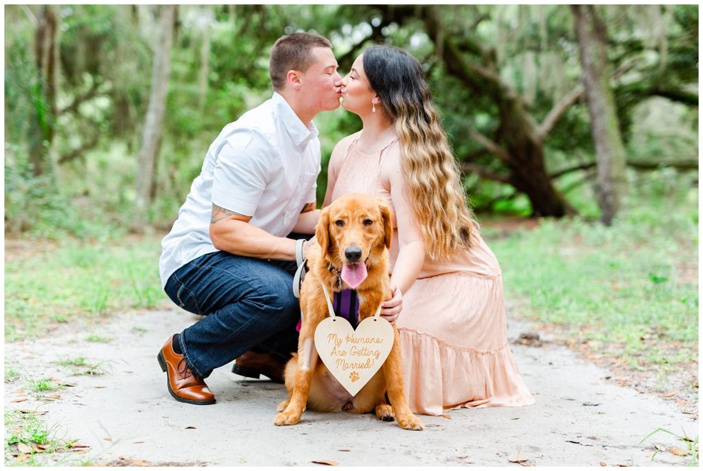 Newly Engaged couple kneeling and kissing while their golden retriever sits between them holding a sign that says, "My Humans Are Getting Married!"